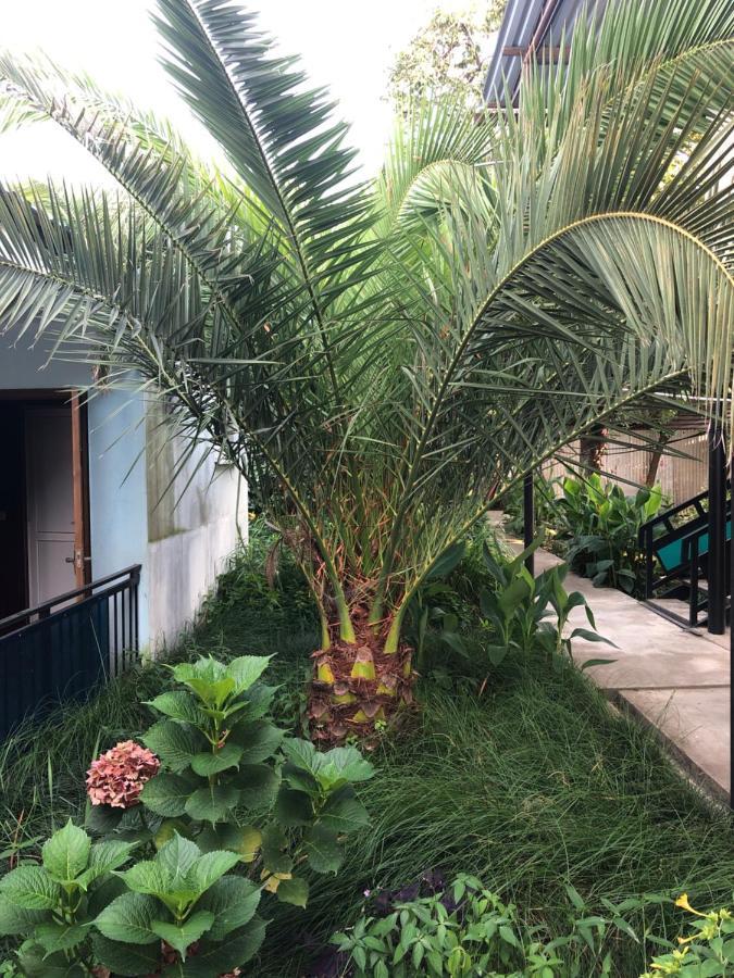 Green House Hotel Alakhadze Exterior foto