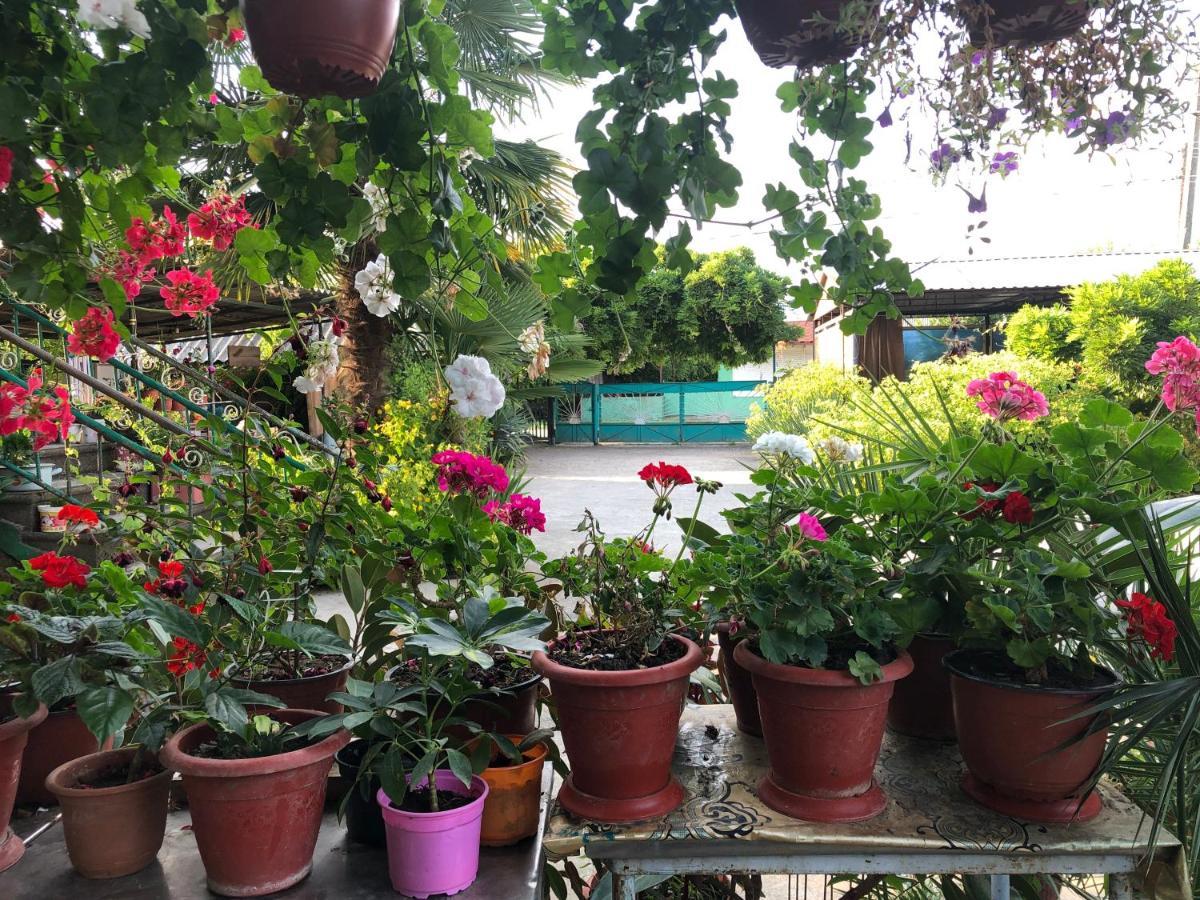 Green House Hotel Alakhadze Exterior foto